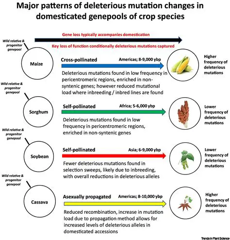 The Impact of Mutations on Speciation
