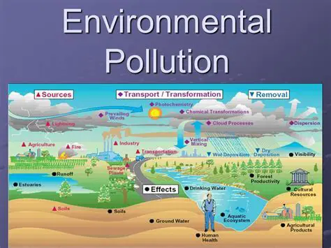 The Impact of Pollution on the Environment