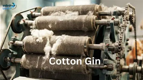 The Impact of the Cotton Gin on Cotton Production
