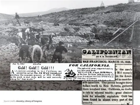 The Impact of the Gold Rush on the Environment