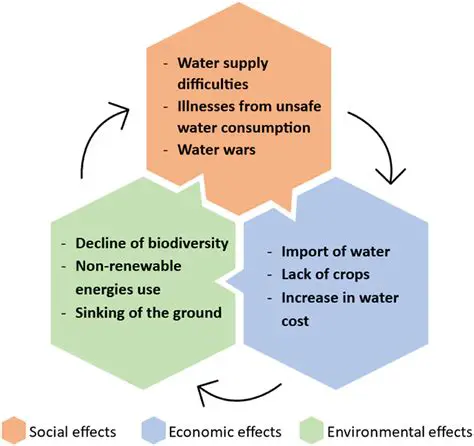 The Impact of Water Scarcity on Food Production