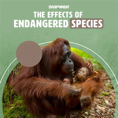 The Impact on Endangered Species