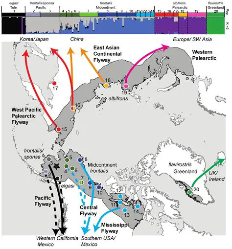 The Impact on Migration Patterns