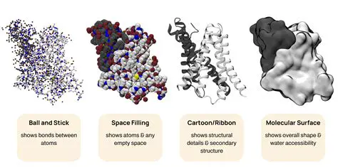 The Importance of Accurate Protein Production