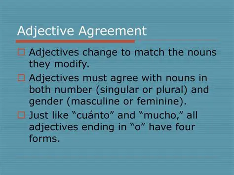 The Importance of Adjective Agreement