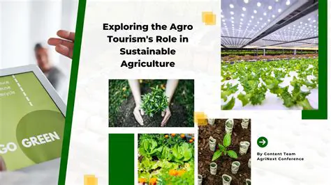 The Importance of Agro Tourism in the Cross Forest Area