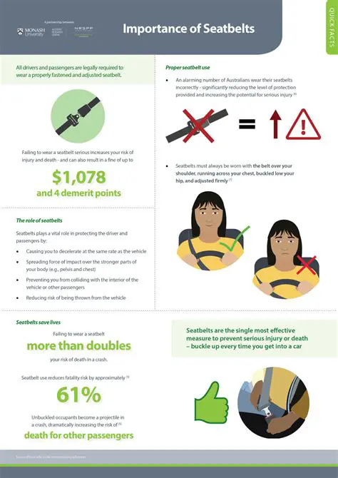 The Importance of Airbags and Seatbelts