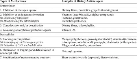 The Importance of Antimutagenic Activity