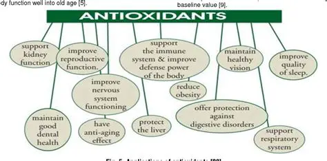 The Importance of Antioxidant Activity