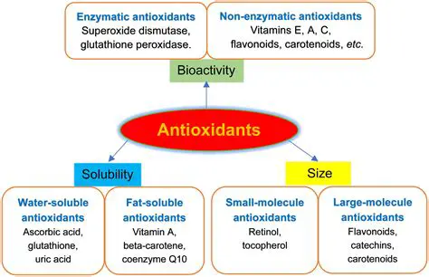 The Importance of Antioxidants in Preventing Cellular Damage