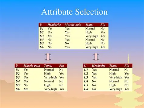 The Importance of Attribute Selection