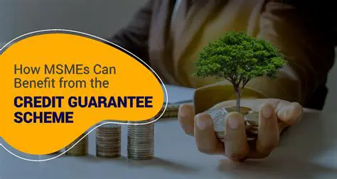 The Importance of Bank Credit for MSMEs