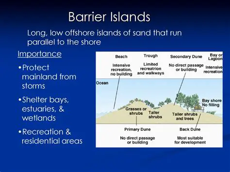 The Importance of Barrier Islands