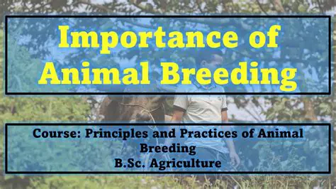 The Importance of Breeding in the Ocean