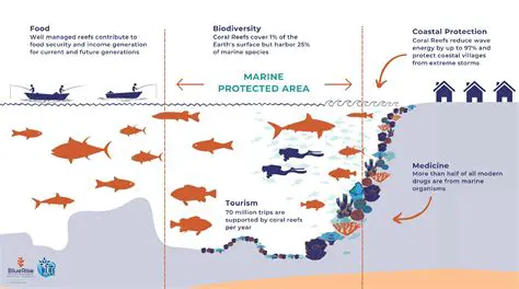 The Importance of Calcium in Coral Growth