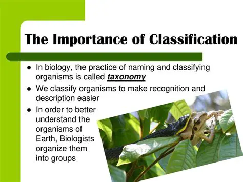 The Importance of Classification in Biology
