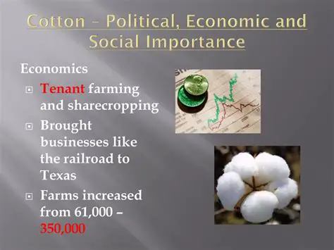 The Importance of Cotton and Coal