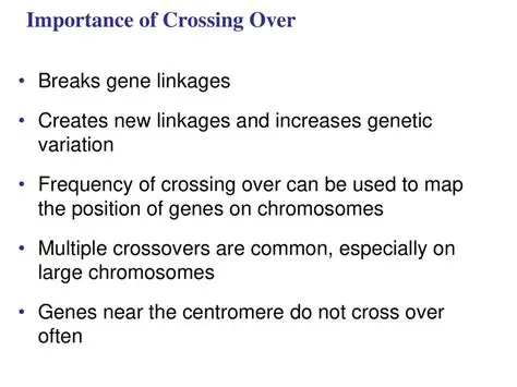 The Importance of Crossing Over in Evolution