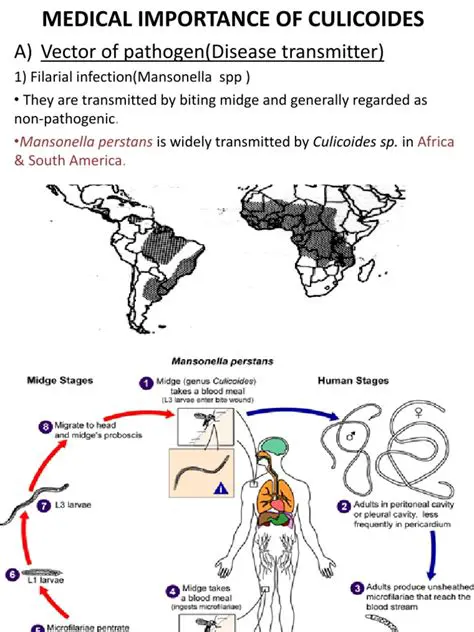 The Importance of Culicoides
