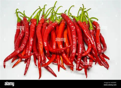 The Importance of Curly Red Chili in Indonesia
