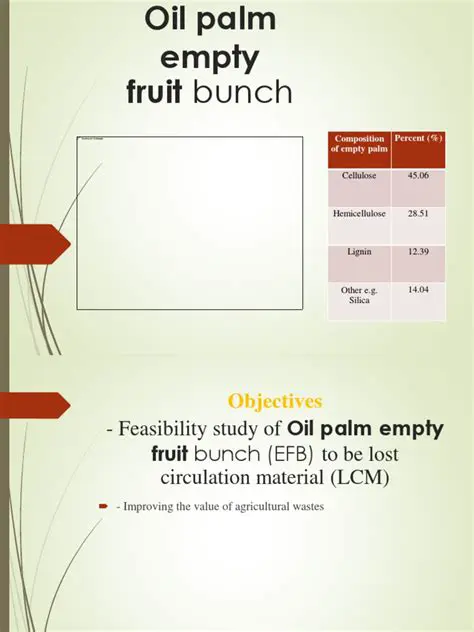 The Importance of Decomposition of Oil Palm Empty Bunches
