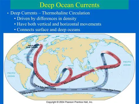 The Importance of Deep Ocean Currents