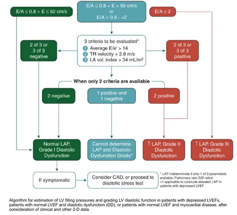 The Importance of Diastolic Dysfunction in AMI