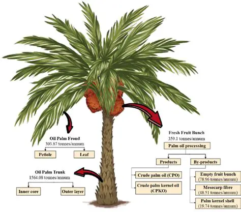 The Importance of Early Detection in Oil Palm Plants