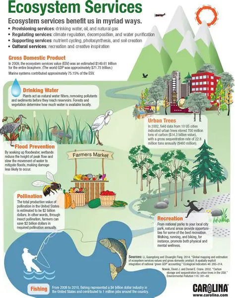 The Importance of Ecosystems