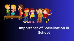 The Importance of Education and Socialization
