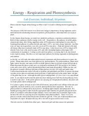 The Importance of Energy in Living Organisms