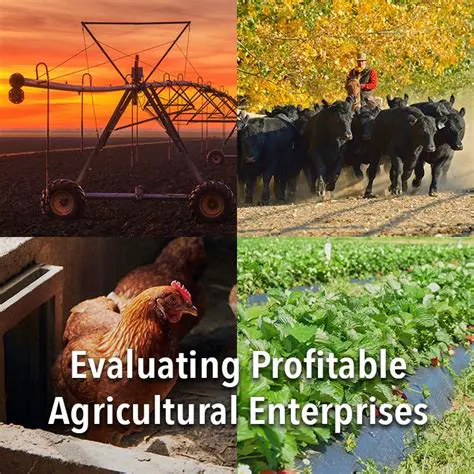 The Importance of Evaluating Agricultural Extension