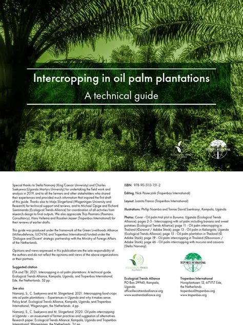The Importance of Evapotranspiration in Oil Palm Plants