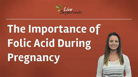 The Importance of Folic Acid in Pregnancy