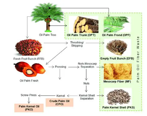 The Importance of Forecasting Oil Palm Production in North Sumatra