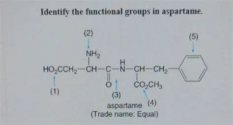 The Importance of Functional Groups in Aspartame