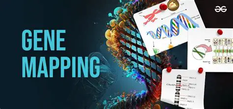 The Importance of Gene Maps