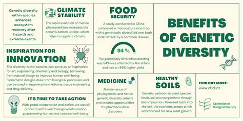The Importance of Genetic Diversity