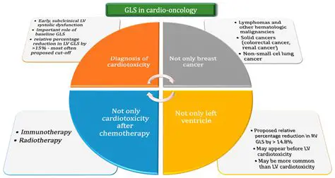 The Importance of GLS Evaluation in MR Diagnosis