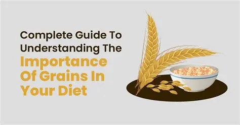 The Importance of Grains in Our Diet