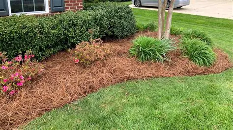 The Importance of Ground Cover Plants and Straw Mulch