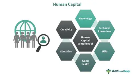 The Importance of Human Capital in Business Performance