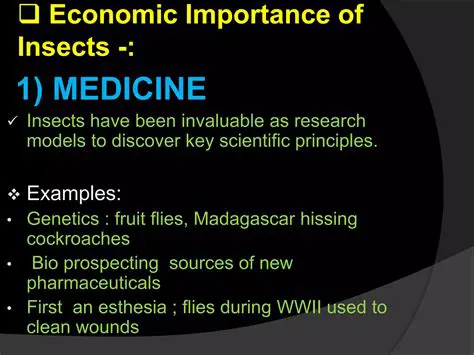 The Importance of Insect Forensics