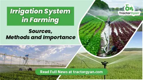 The Importance of Irrigation Systems in Agricultural Success