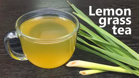 The Importance of Lemongrass Extract