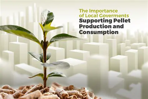 The Importance of Local Governments