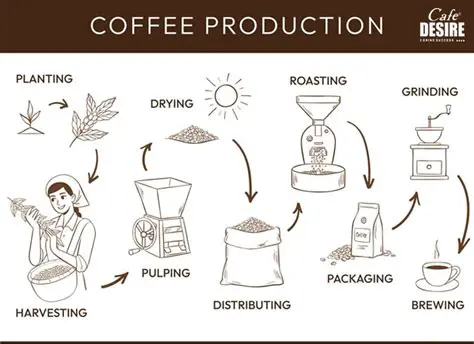 The Importance of Measuring Instruments in Coffee Production