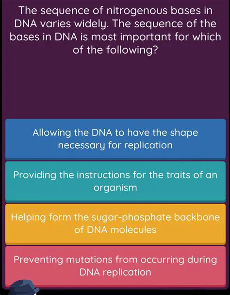The Importance of Nitrogenous Bases in DNA