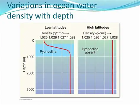 The Importance of Ocean Water Density