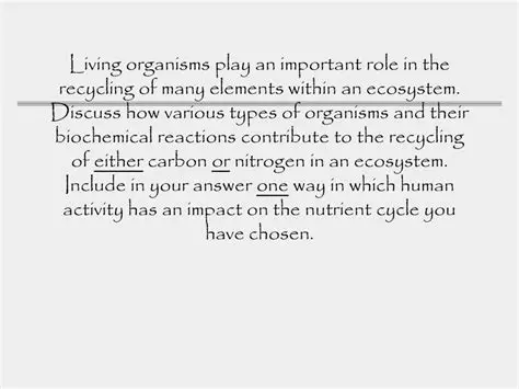 The Importance of Organisms